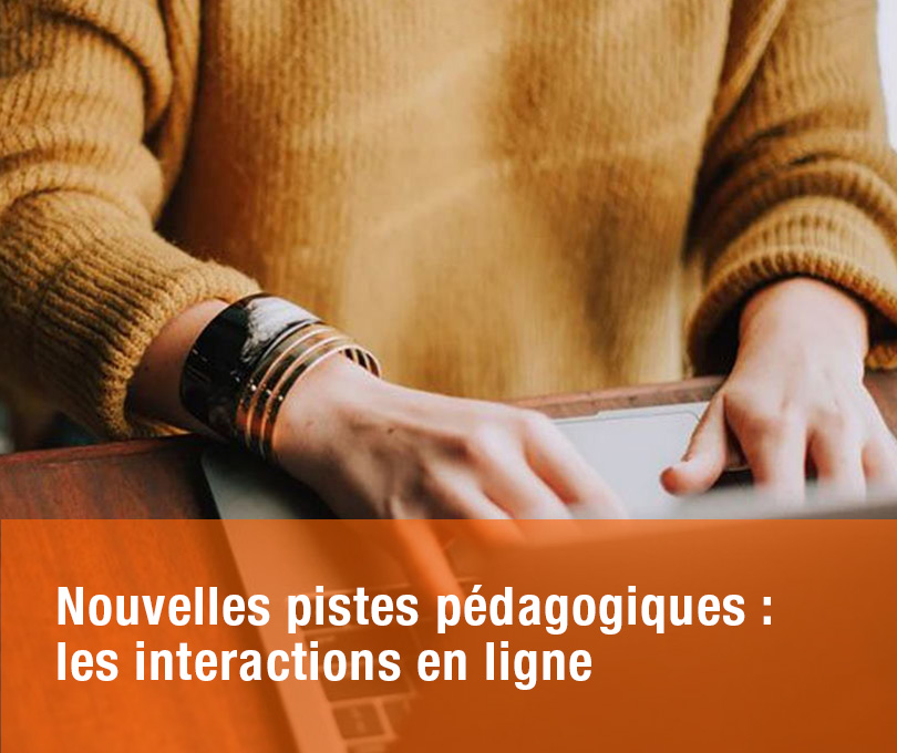 Nouvelles pistes pédagogiques :  les interactions en ligne