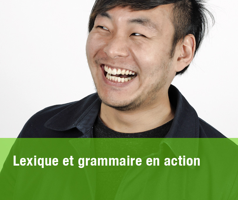 Lexique et grammaire en action